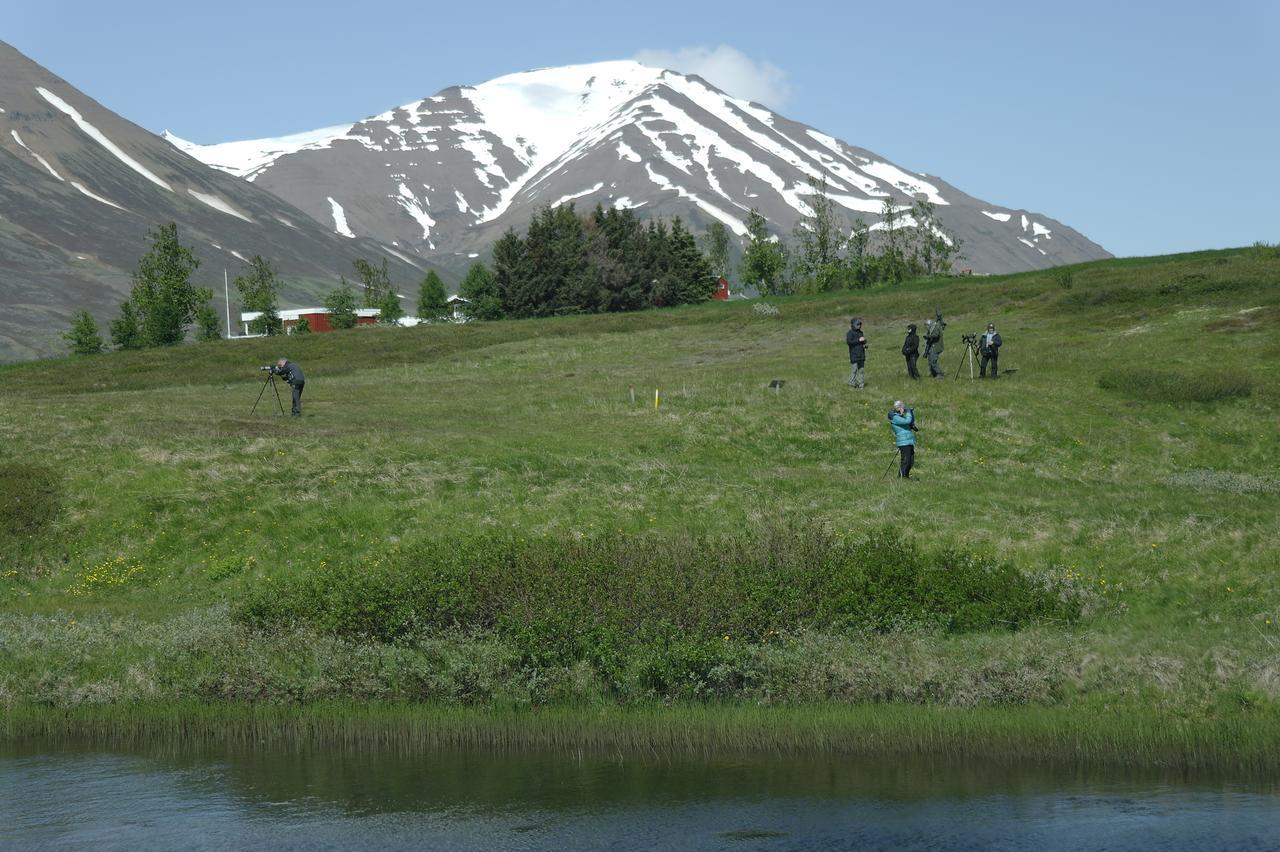 Hótel Dalvík Exterior foto